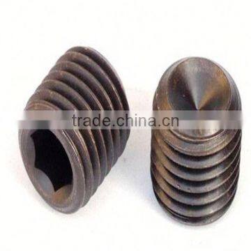 Hexagon socket set securing screws