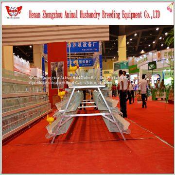 Hot Selling Good Quality Automatic Chicken Egg Layer Cage photo-3