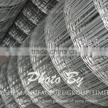 PVC Coated Welded Mesh photo-5