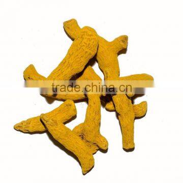 Turmeric Fingers photo-3