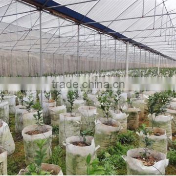 High quality plastic film nursery greenhouse film