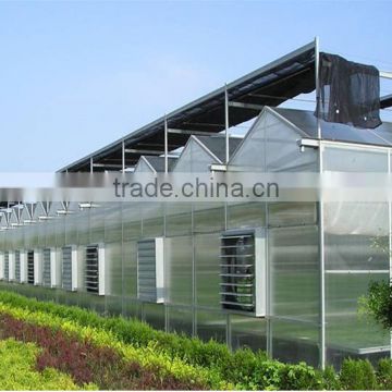 Agricultural High Quality Winter Multi Span Greenhouse Low Price