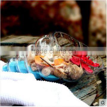 Creative Home Indoor Decoration Conch Shaped Micro Landscape Clear Hand Blown Glass Vase photo-3