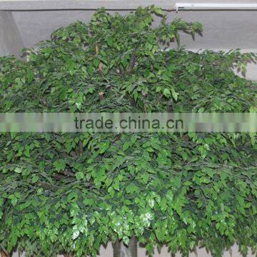 SJ11 Artificial Banyan Tree Manufacturer in Guangzhou photo-4