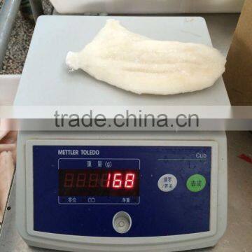 Frozen John Dory Fillet (Zeus Faber) Fillet 60-100g, 100-150g, 150-200g, 200-300g