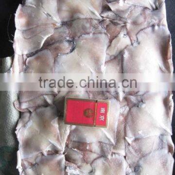 Frozen Gaint Sqiud Wing photo-3