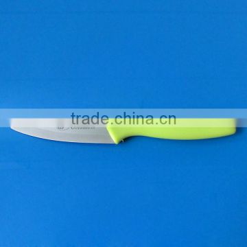 Stainless Steel Paring Knife