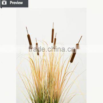 Dongugan Factory Direct Sale Artificial Grass Onion Grass With Cattails in Pot Synthetic Potted Grass Pots Plant photo-3