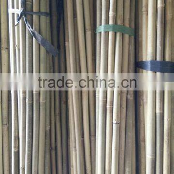 Raw Bamboo Poles Wholesale for Construction