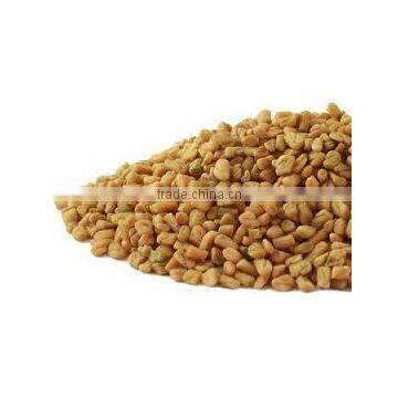 Fenugreek Seed
