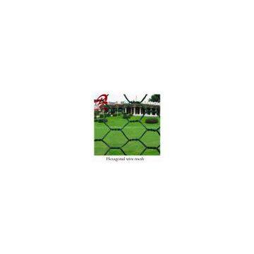 Hexagonal Wire Mesh( best quality , low price , factory or manufacturer )