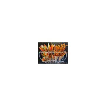 Bamboo Leaves Gift photo-1