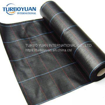 Black Color 90gsm pp Woven Ground Cover Sheet for Sale photo-3