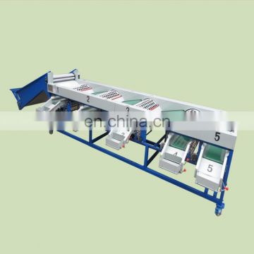 Energy Saving Popular Profession Fruit Sorting Machine Mango Fruit Grading Machine / Fruit sorting machine