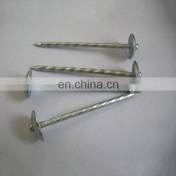 China Products Good Quality Galvanized Steel Corrugated Nail