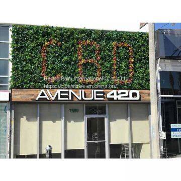 Artificial Plant Wall photo-3