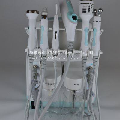 Bio Raise The Overall Tightening Of Facial Skin Hydra Facial Portable Machine Top Manufacturer