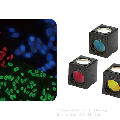 Inverted Fluorescence Microscope MF53-N photo-3