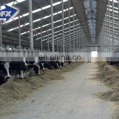 Cow Home Steel Structure Farm Shed for Cattle