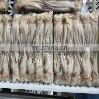 Good quality BQF frozen squid tentacle teeth off