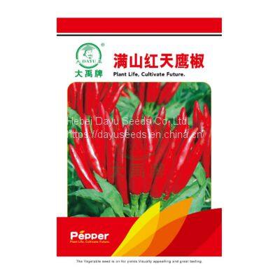 Super large and clustered red pepper     Rong Spicy Flavor Chili Pepper Seeds    Chili Pepper Seeds