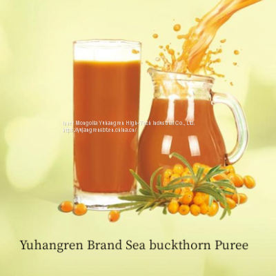 Sea Buckthorn Puree photo-3
