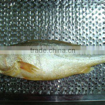 Yellow Croaker