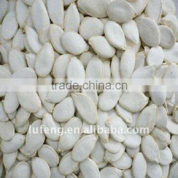 Crop 2011 Chinese Snow White Pumpkin Seeds Kernel