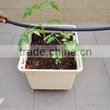 Hot-sale , Dutch buckets for growing tomatoes hydroponic system