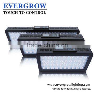 Evergrow IT2040 Touch Controlled LED Dimmable Aquarium Lights with CE and RoHs