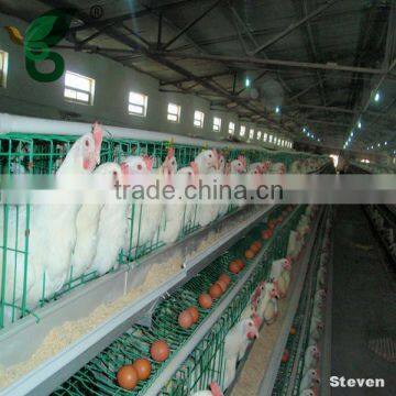 Hot sale A type chicken coop galvanized wire mesh / Modern poultry farm coop for chicken