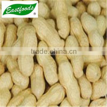 peanuts in shell from Shandong