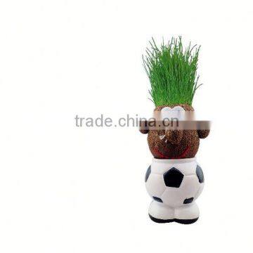 Home Decoration plant pot