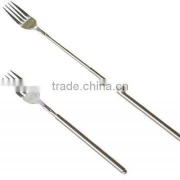 Telescoping Freeloader Fork