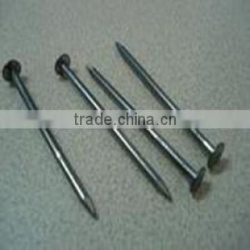 1-1/4" Bright box nails tianjin factory