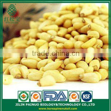 Container Home Leisure Foods Korean Pine Nut Kernels