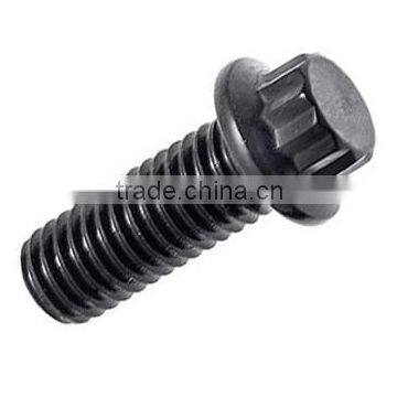 12 Point Flange Bolts