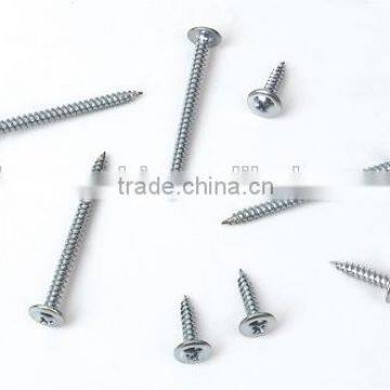 Truss Head Phillips Self Tapping Screw Zinc Plated Roofing Screw photo-5