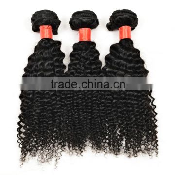 Free samples malaysian kinky curly hair virgin human hair extension for wholesale