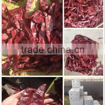 Red Chilli, Dry Red Chilli (American Red/Jinta/Yidu)