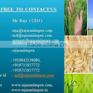 Basmati rice exporter, Indian star basmati rice, India longest basmati rice, Basmati rice grade, Whole supersella basmati rice,