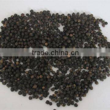 Malabar Spinach Seeds Vegetable Seeds for Planting photo-2