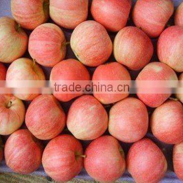 2014 new crop gala apple price list