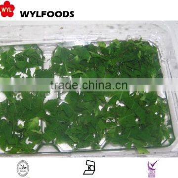 Frozen Basil with good quality .grade A