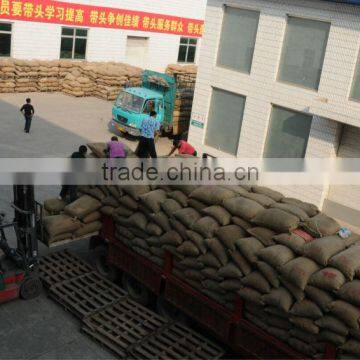 Best Quality Fresh Chestnuts photo-3