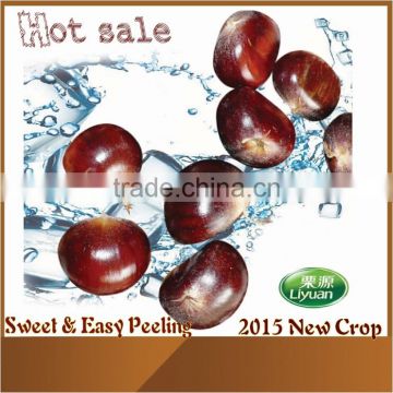 2015 new crop fresh raw chestnuts