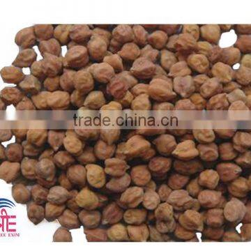 Chick Peas, Kabuli Chick Peas, Indian Kabuli