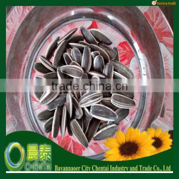 2013 New Seeds Raw Sunflower Seeds On Sale