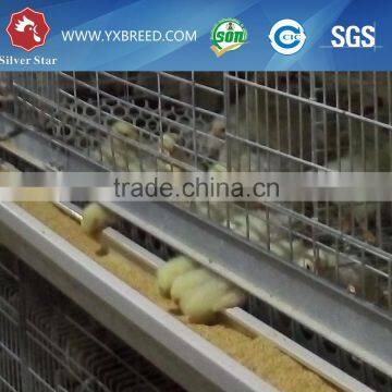 Hot Sell Design Layer Chicken Cages for Africa