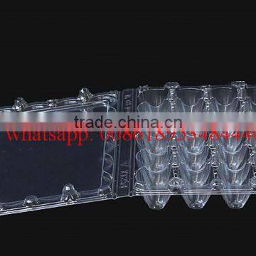 24 Holes Rectangular Clear Transparent Plastic Quail Egg Cartons, Plastic Quail Packing Tray 24eggs photo-4